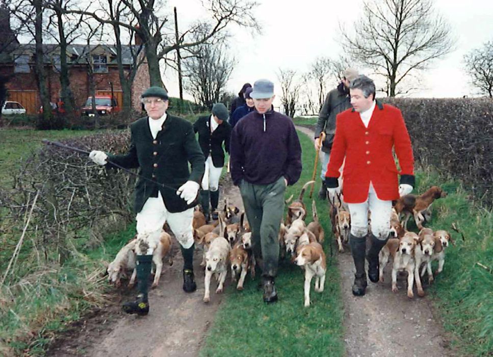 A man in green joggers walks with hunters and their hounds