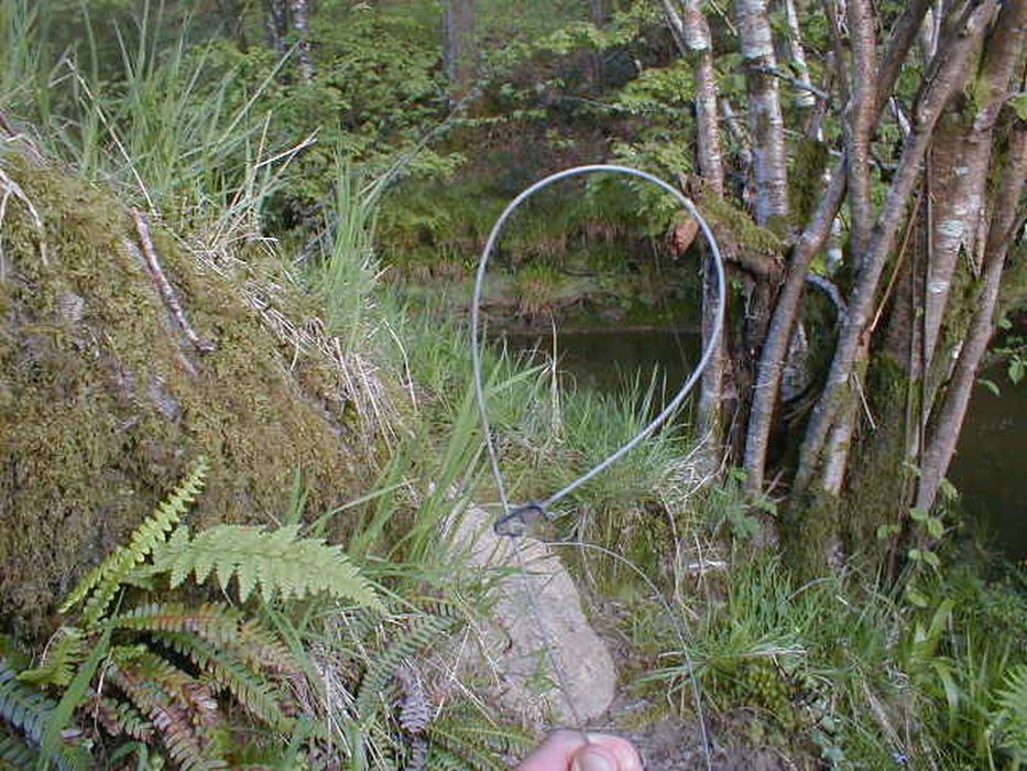 A loop of wire with a fastner held up to the camera
