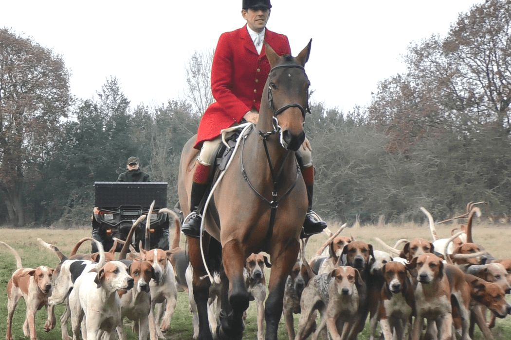 Fox hunt rider on horseback - on Fox Hunting page