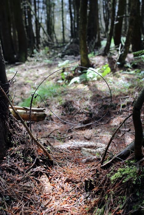 A brutal snare set in the countryside