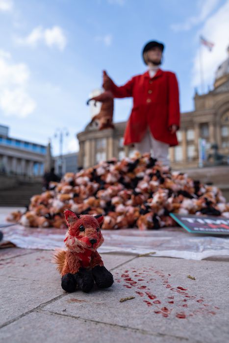 A fake hunter poses with a pile of soft fox toys