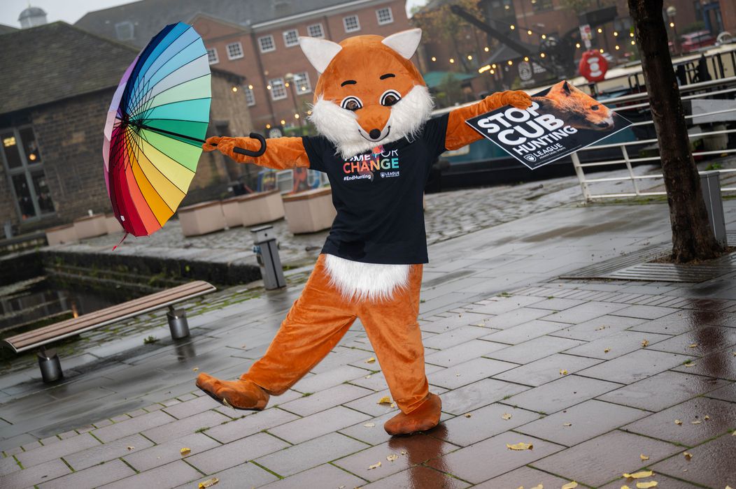 League Against Cruel Sports fox holding an umbrella