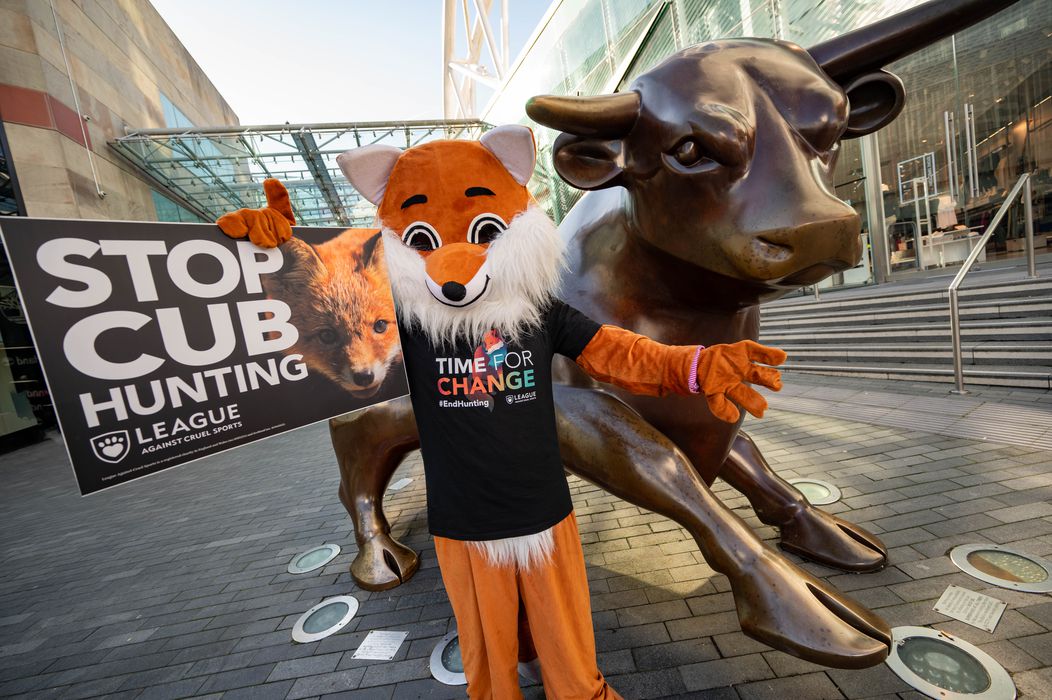 The League Against Cruel Sports fox in Birmingham