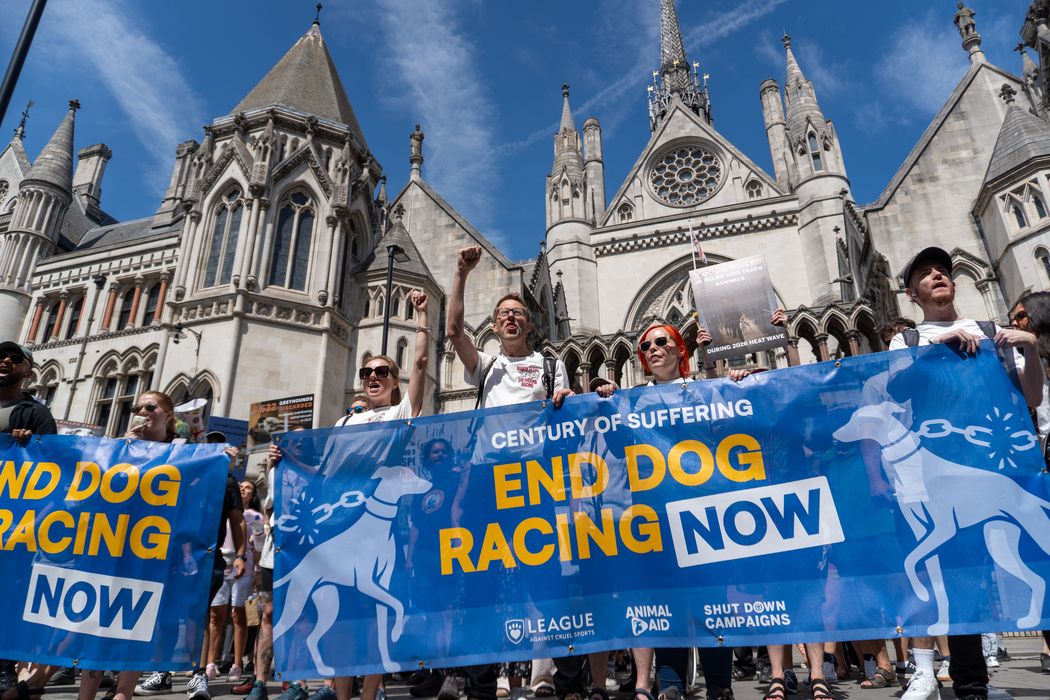 Campaigners call for an end to greyhound racing in England