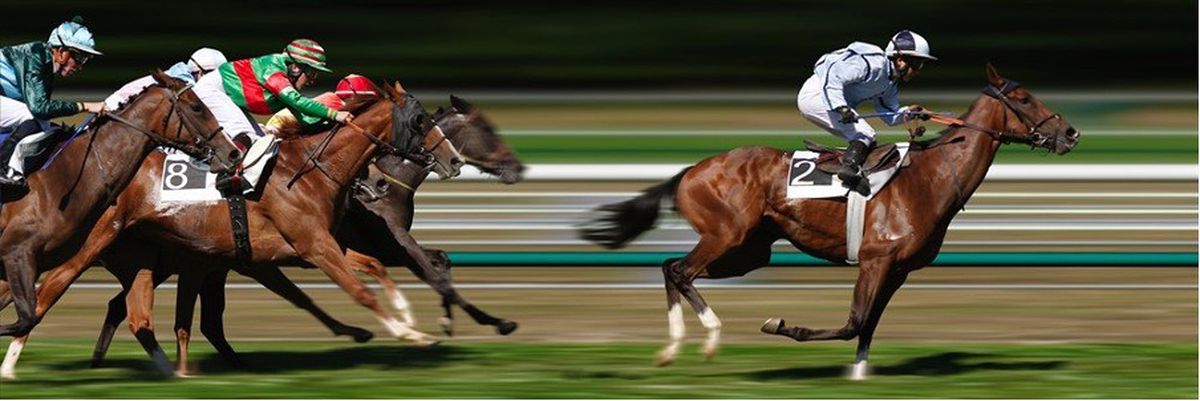 Horse racing action shot - side on
